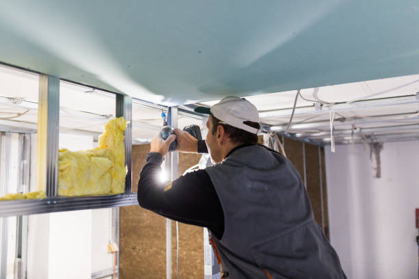 Best Insulation for Specific Applications in Barton, NM