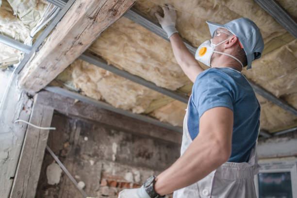 Best Commercial Insulation in Barton, NM