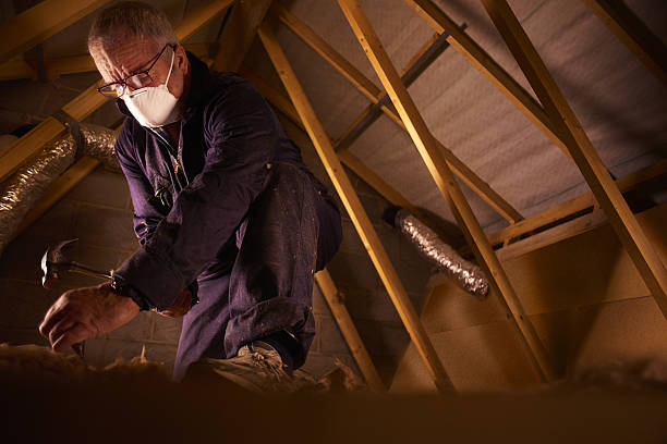 Best Insulation Installation Services in Barton, NM